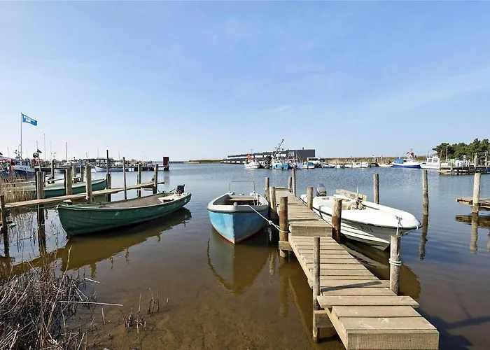 C11159-hemmet-horsfold-146 Hemmet